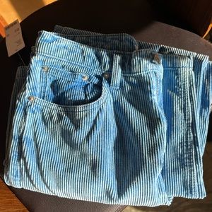 NWT High&Wide Blue Curduroy BDG Pants